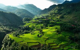 Không phải do không khí mát lạnh, đây mới là lý do chính khiến Sa Pa “gây sốt” giữa mùa hè