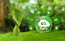 Sàn giao dịch carbon trong nước sẵn sàng khai trương ngày 29/6