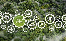 Lộ diện sản phẩm đầu tiên của Sàn giao dịch carbon trong nước