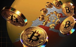 Giá Bitcoin hôm nay 29/6: Fidelity giải thích cơ chế halving của Bitcoin