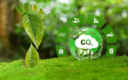 Sàn giao dịch carbon ghi nhận khối lượng giao dịch hơn 1.200 tấn CO2e phiên đầu tiên