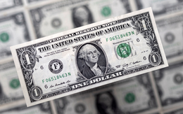 Tỷ giá USD hôm nay 30/6: Tỷ giá trung tâm tăng 5 đồng