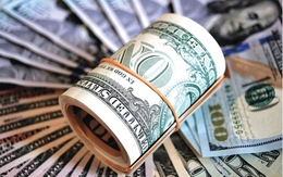 Tỷ giá USD hôm nay 4/6: Tỷ giá trung tâm ổn định