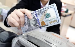 Tỷ giá USD hôm nay 5/6: Tỷ giá trung tâm tăng 2 đồng