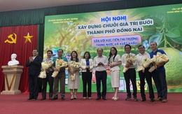 Từ đặc sản địa phương đến hàng xuất khẩu chiến lược: Bưởi Đồng Nai tăng tốc chinh phục thị trường quốc tế