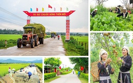 Hà Nội xây dựng Bộ tiêu chí nông thôn mới theo hướng hiện đại, bền vững