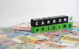 Công cụ định giá carbon ngày càng được mở rộng trên toàn cầu