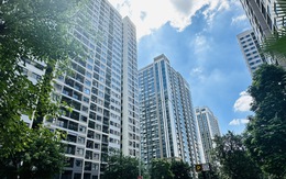 Xu hướng tìm thuê nhà tăng gần 22% 