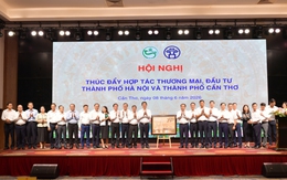 TP Hà Nội và TP Cần Thơ thúc đẩy hợp tác thương mại, đầu tư 