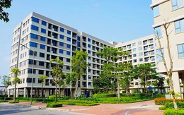 Bắc Ninh mở bán khoảng 2.000 căn nhà ở xã hội, giá từ hơn 12 triệu đồng/m²
