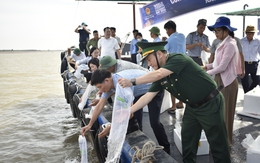 Hưng Yên: Phát động hưởng ứng Ngày Đại dương thế giới và Tuần lễ Biển, Hải đảo Việt Nam 2026
