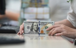 Tỷ giá USD hôm nay 10/7: Tỷ giá trung tâm tăng 3 đồng