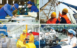 Tổng điều tra kinh tế năm 2026: Gần 6,3 triệu cơ sở kinh tế tạo việc làm hơn 30 triệu lao động