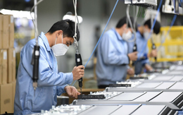 Cộng đồng doanh nghiệp châu Âu tiếp tục đánh giá cao triển vọng kinh tế Việt Nam