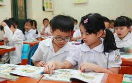 Quảng Ninh dành gần 800 tỷ đồng triển khai 10 chính sách giáo dục đặc thù