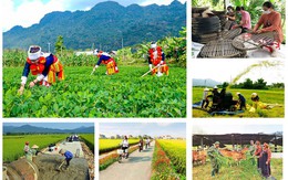 Bổ sung nguồn lực cho 27 địa phương thực hiện 3 chương trình mục tiêu quốc gia