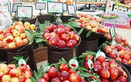 Mỹ hiện là nhà cung cấp nông sản lớn thứ hai cho Việt Nam