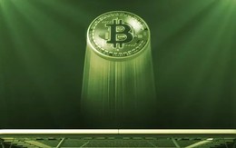 Giá Bitcoin hôm nay 20/7: Dự báo trái ngược về xu hướng giá của Bitcoin