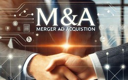 Thị trường M&A tại Việt Nam đạt khoảng 2,43 tỷ USD sau nửa đầu năm
