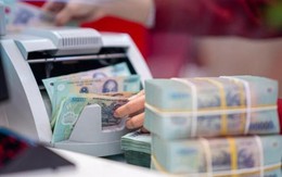 Đến 15/7, thu ngân sách nhà nước đạt hơn 1,6 triệu tỷ đồng