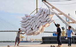 Xuất khẩu gạo lập kỷ lục trong nửa đầu năm 2026