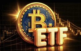 Giá Bitcoin hôm nay 6/7: ETF Bitcoin lập kỷ lục bị rút vốn 8 tuần liên tiếp 