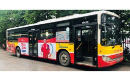 TP HCM: Sở Xây dựng đề xuất dừng đề án quảng cáo trên xe buýt vì kém hiệu quả