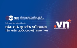 Sức hút và giá trị của những tên miền ".vn"