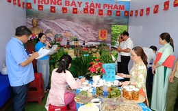 Xã Sơn Cẩm Hà: Xây dựng nông thôn mới làm nền tảng cho phát triển bền vững
