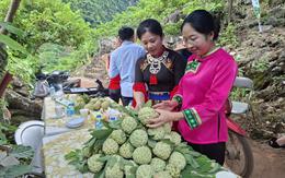 Thái Nguyên: Xây dựng sản phẩm na La Hiên thành cây trồng chủ lực