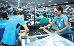 Sau 5 năm, số doanh nghiệp FDI tại TP.HCM tăng 41%