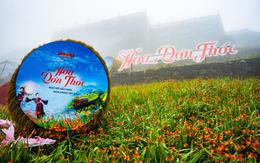 Sa Pa: Choáng ngợp thảm hoa dơn thóc trên đỉnh Fansipan