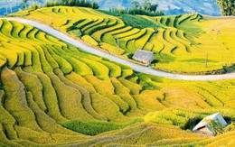 Y Tý đánh thức sức hút đại ngàn qua Lễ hội mùa Thu 2026