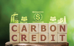 Có 8 công ty chứng khoán đăng ký làm thành viên lưu ký carbon