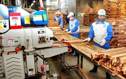 Xuất khẩu gỗ và sản phẩm gỗ của Việt Nam đạt hơn 10 tỷ USD sau 7 tháng