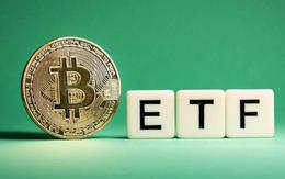 Giá Bitcoin hôm nay 3/8: ETF Bitcoin hút vốn trở lại