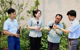 Thanh Hóa: Khi đồng vốn trở thành đòn bẩy phát triển sinh kế