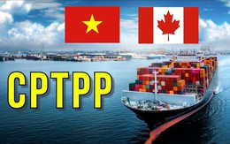 Kim ngạch xuất khẩu sang Canada đạt hơn 5,05 tỷ USD