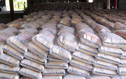 Thị trường xi măng bước vào giai đoạn phục hồi mạnh