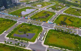 TP HCM: Phê duyệt phương án đấu giá quyền sử dụng khu đất 92 ha tại Bến Cát