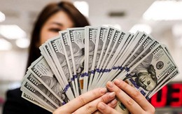 Tỷ giá USD hôm nay 27/8: Tỷ giá trung tâm ổn định
