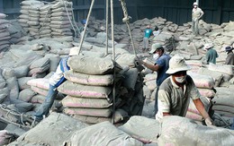 Việt Nam vươn lên vị trí thứ hai trong nhóm các nhà cung cấp xi măng cho Mỹ