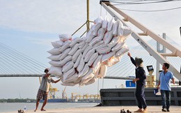 Nhiều dư địa cải thiện kim ngạch xuất khẩu gạo trong những tháng cuối năm
