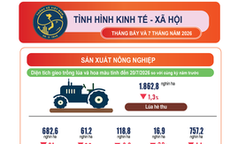 Kinh tế, xã hội 7 tháng tăng trưởng tích cực trên nhiều lĩnh vực
