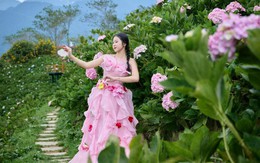4 lý do khiến combo "Đón bình minh trên đỉnh Fansipan" tạo “cơn sốt” dịp Tết Độc lập