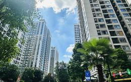HoREA đề xuất thời hạn sử dụng chung cư xây mới tối đa không quá 99 năm