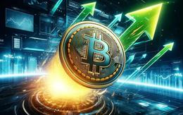 Giá Bitcoin hôm nay 7/8: Bitcoin bền vững hơn trước nhiều biến động