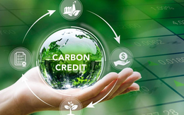 Sàn giao dịch carbon mới chỉ có một phiên giao dịch sau 1 tháng vận hành