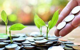 Tín dụng xanh sẽ chiếm 25% tổng dư nợ vào năm 2030