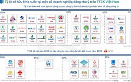 Loạt doanh nghiệp có thể là tâm điểm của làn sóng thoái vốn thứ ba